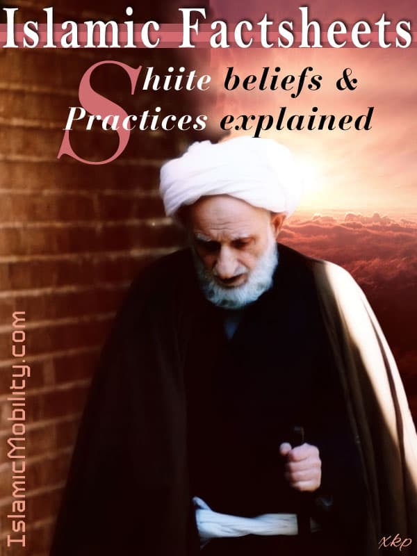 Islamic Factsheet Shiite Beliefs And Practices Explained by Unknown