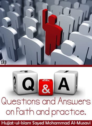 Questions N Answers On Faith And Practice by Syed Mohammed Al Musavi