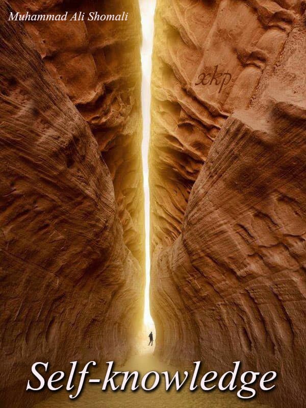 Self Knowledge by Muhammad Ali Shomali