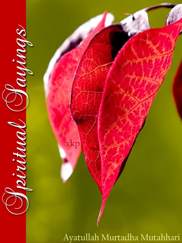 Spiritual Sayings by Ayatullah Murtadha Mutahhari