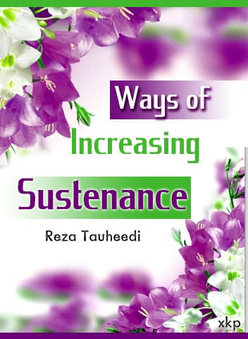 Ways Of Increasing Sustenance by Reza Tauheedi