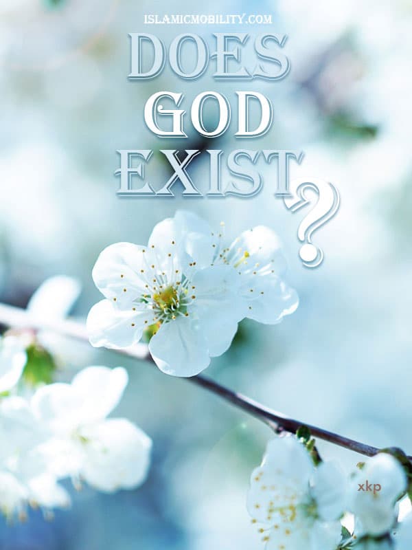 The Status Of Mothers In Islam by Sayyid Muhammad Sohofi