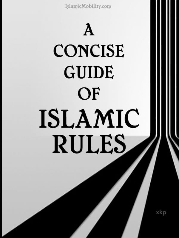 A Concise Guide Of Islamic Rules by Unknown