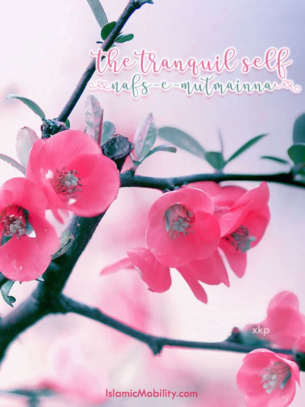 The Tranquil Self Nafs E Mutmainna by Unknown