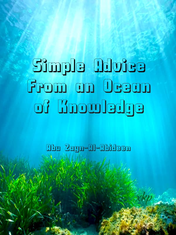 Simple Advice From An Ocean Of Knowledge by Abu Muhammad Zaynul Abidin