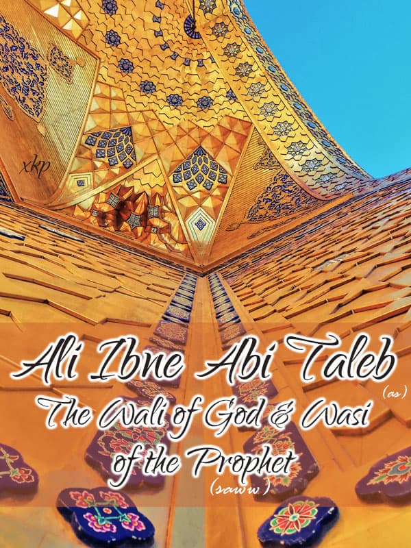 Ali Ibne Abi Talib (As) The Wali Of God And Wasi Of The Prophet (Saww) by Unknown